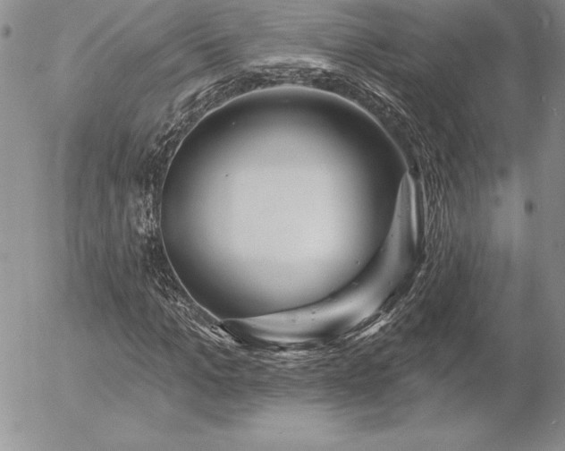 X0000057070965200509091218