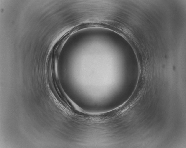 X0000057070976200509091218