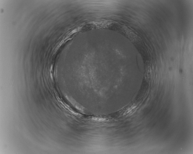 X0000057071010200509091217