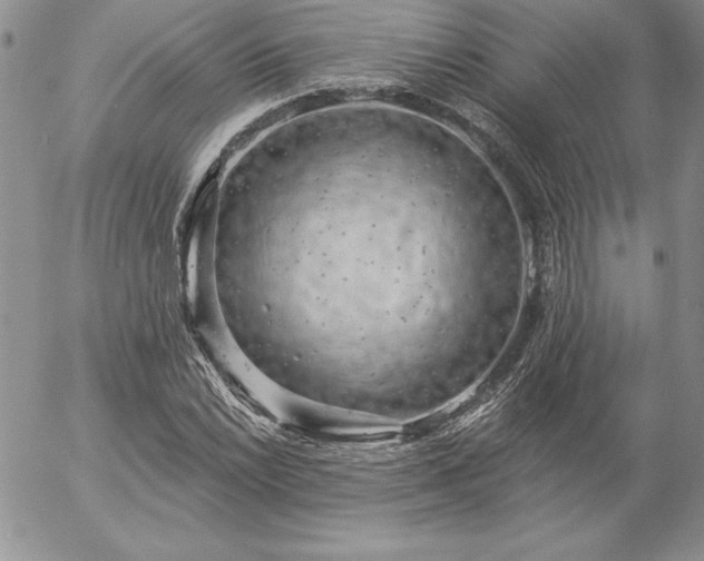 X0000057071022200509091217