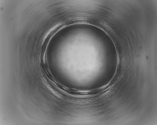 X0000057071026200509091217