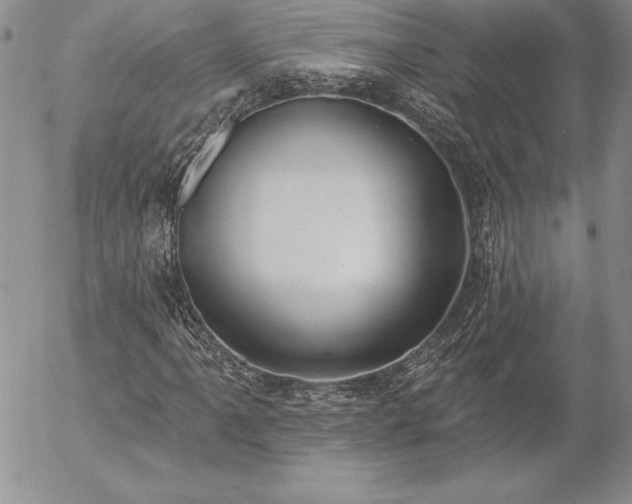 X0000057071061200509091216