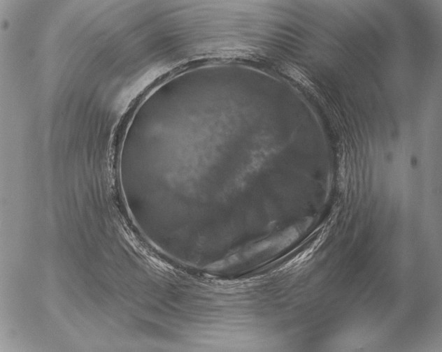 X0000057071071200509091216