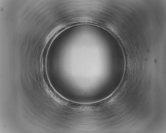 X0000057071082200509091216