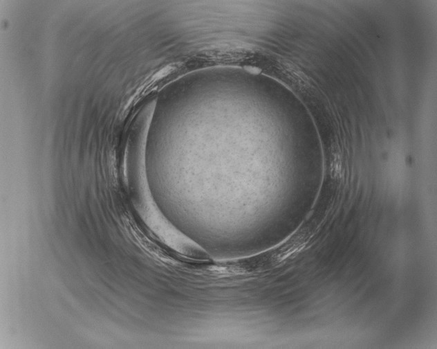 X0000057071108200509091215
