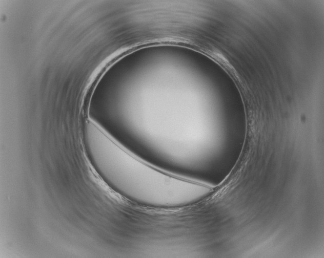 X0000057071140200509091216