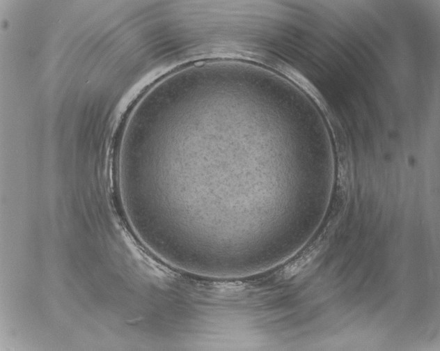 X0000057071144200509091216