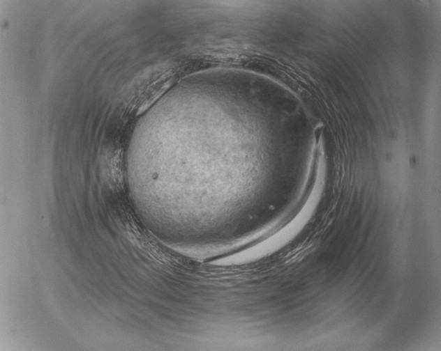 X0000057071156200509091215