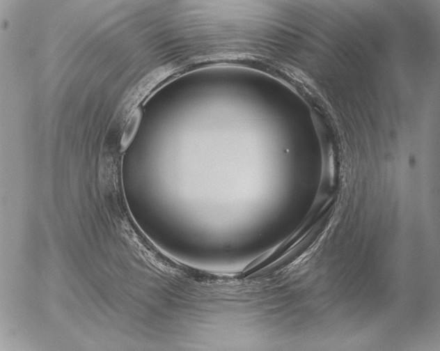 X0000057071177200509091215