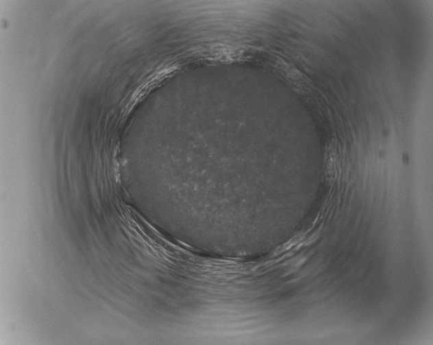 X0000057071202200509091213