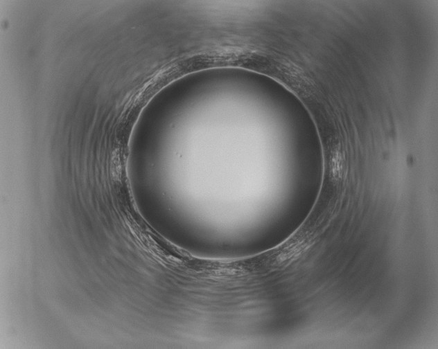 X0000057071204200509091213