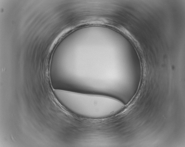 X0000057071240200509091214