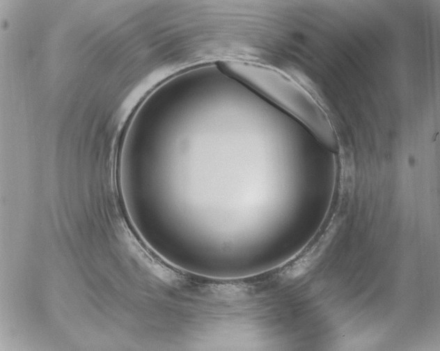 X0000057071246200509091214