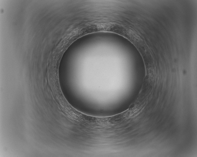X0000057071249200509091213