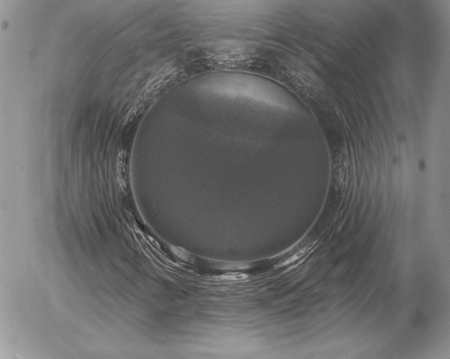 X0000057071346200509091212