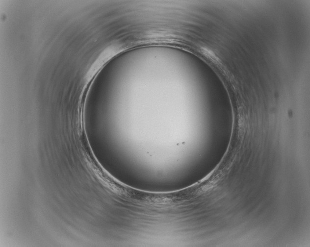 X0000057071370200509091211