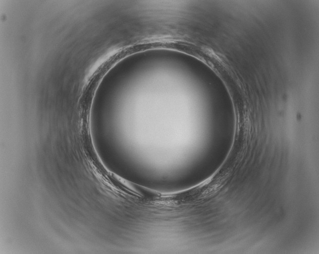X0000057071406200509091210