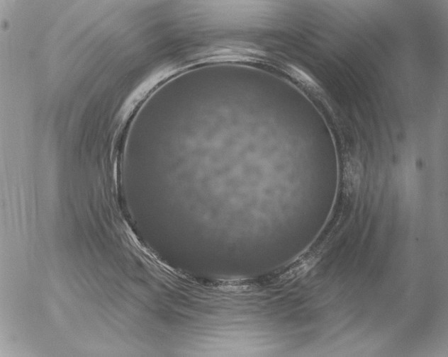 X0000057071419200509091211