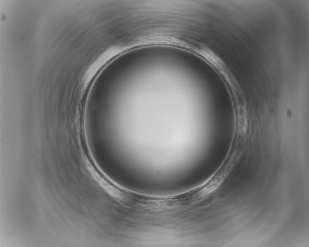 X0000057071438200509091211