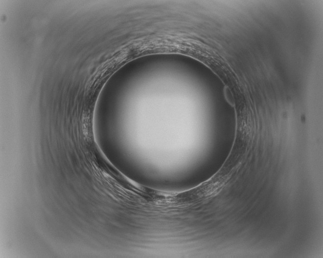 X0000057071490200509091209