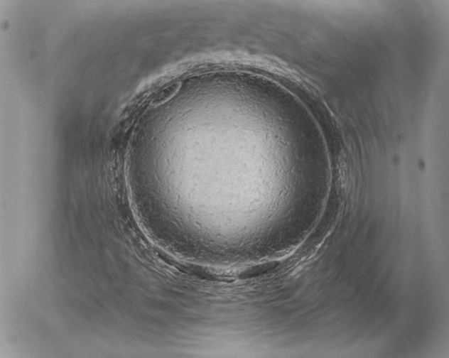 X0000057071494200509091209