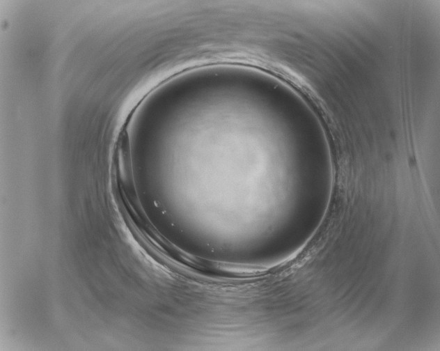X0000057071520200509091209