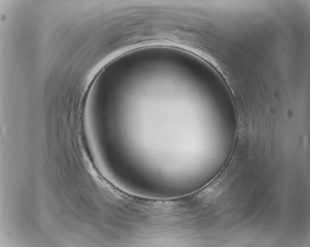 X0000057071534200509091209