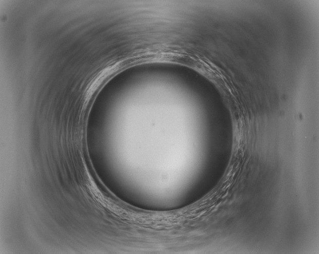 X0000057070003200509120859
