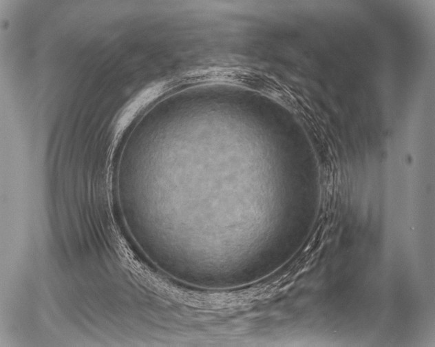 X0000057070006200509120859