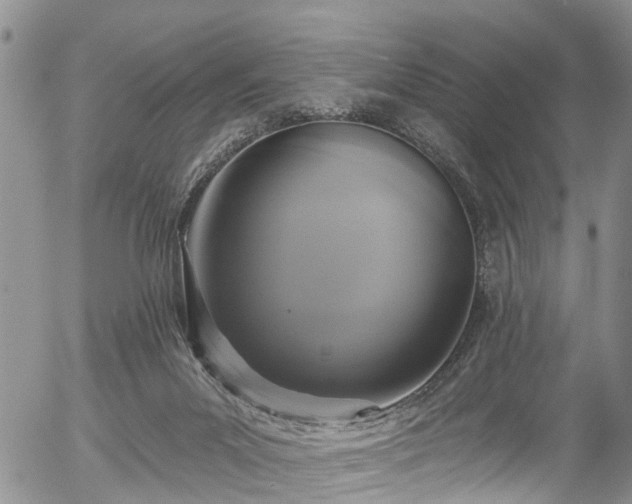 X0000057070023200509120858