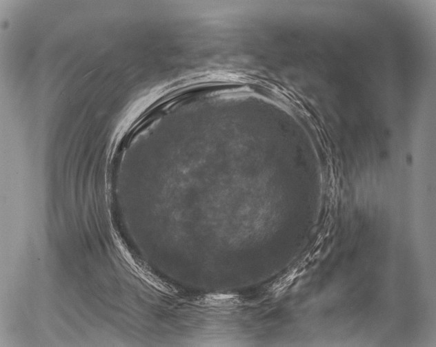 X0000057070055200509120857