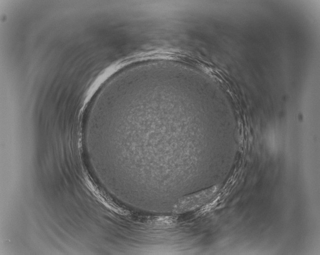 X0000057070056200509120857