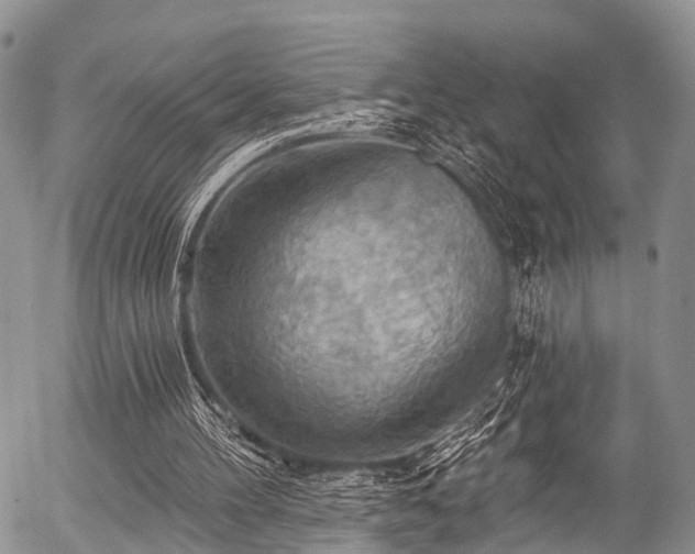 X0000057070100200509120857