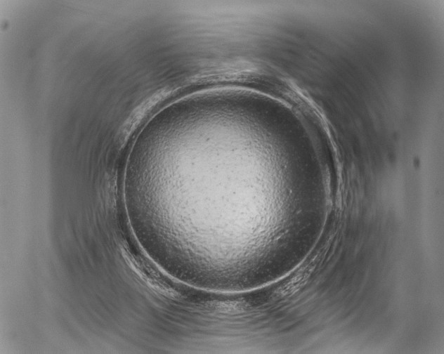 X0000057070107200509120857