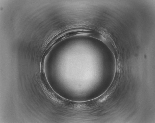 X0000057070109200509120857