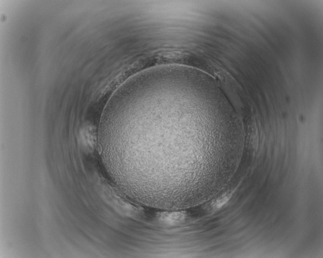 X0000057070135200509120857