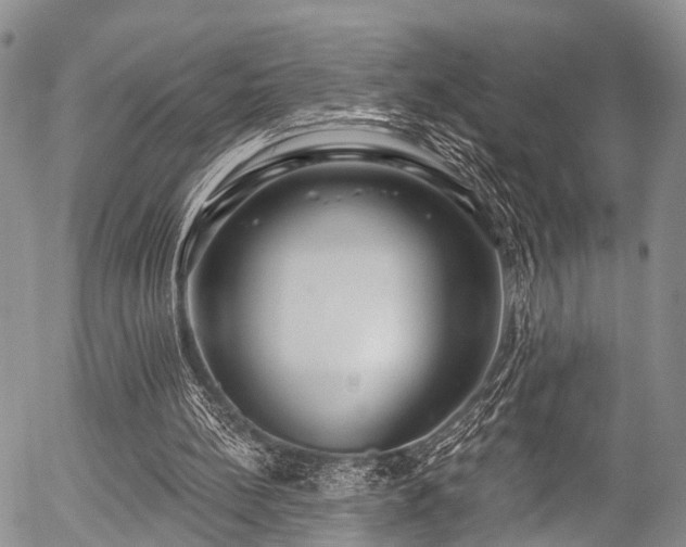 X0000057070148200509120856