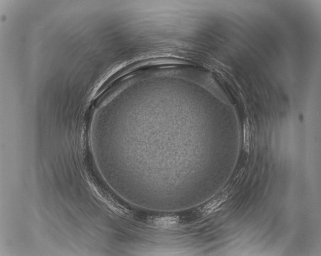 X0000057070156200509120856