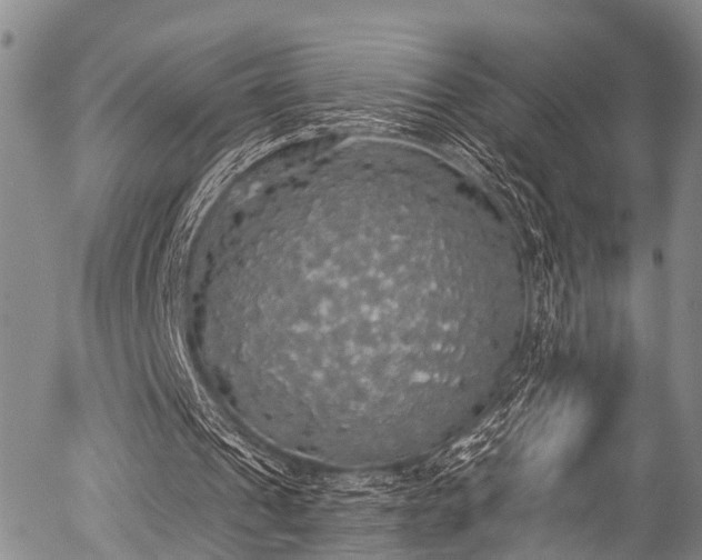 X0000057070241200509120854