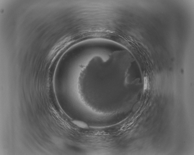 X0000057070243200509120854