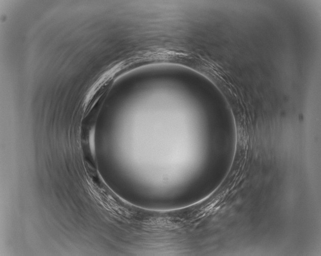 X0000057070244200509120854
