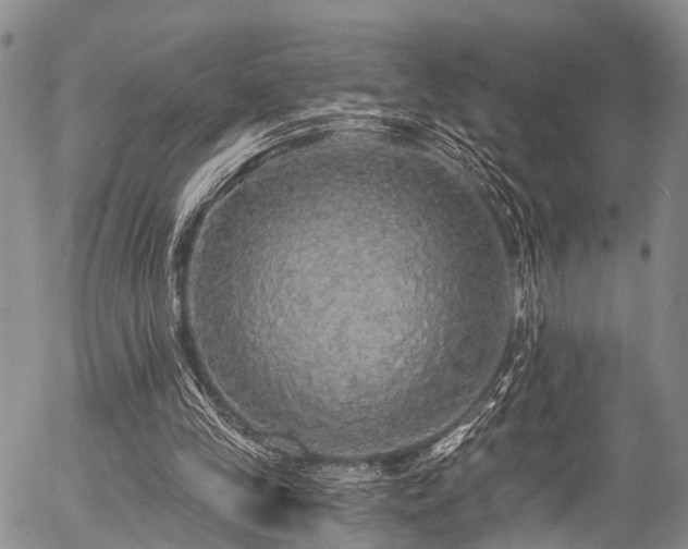 X0000057070245200509120854
