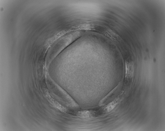 X0000057070301200509120854
