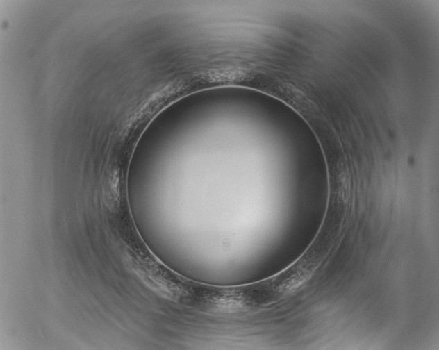 X0000057070308200509120854