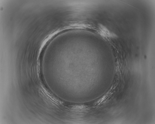 X0000057070342200509120852