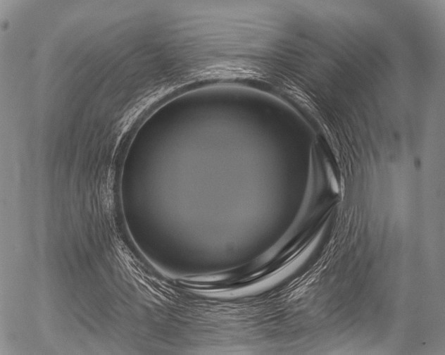X0000057070387200509120852