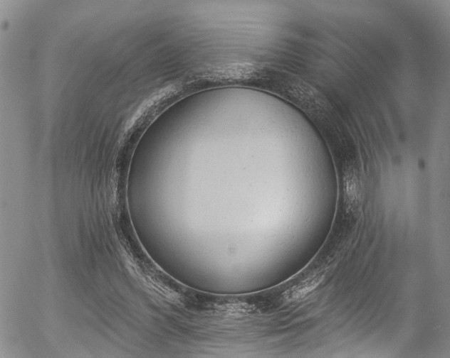 X0000057070396200509120852