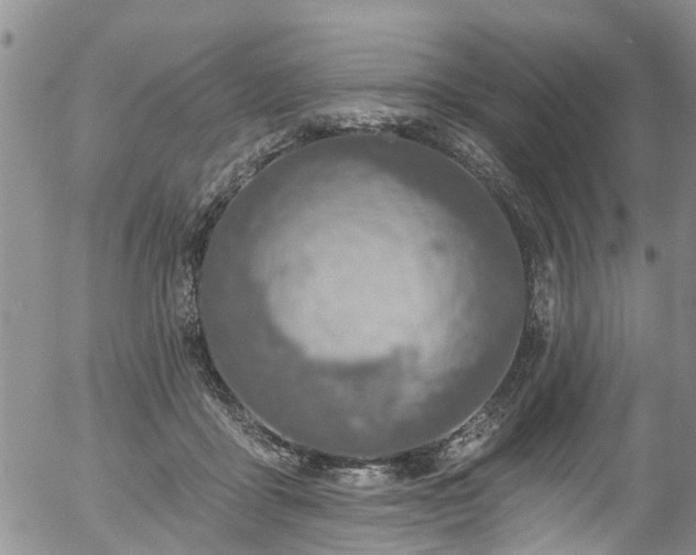 X0000057070411200509120852