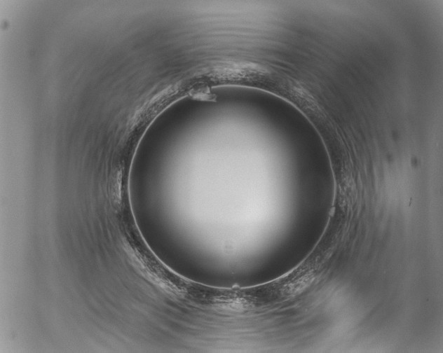 X0000057070454200509120851