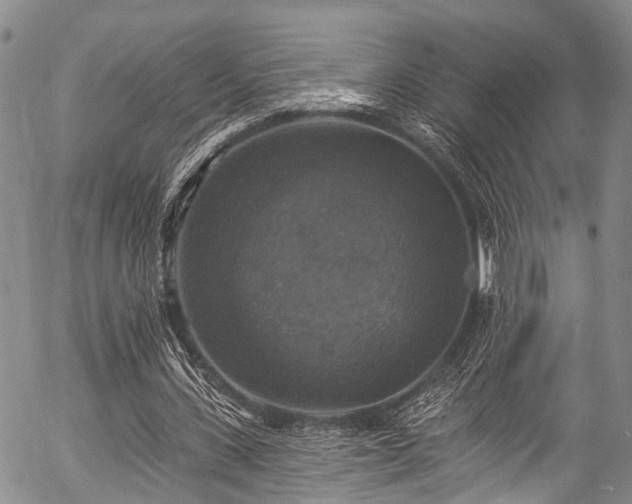 X0000057070531200509120849